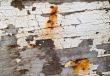 Peeling Paint