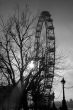 London eye