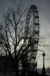 London eye