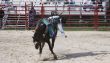 Horse and Cowboy 2