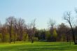 Spring morning in a park