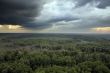 Clouds on taiga