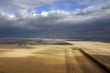 Flight on fields of the wheat