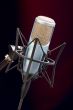 Mic on stage 1