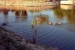 Quite backwater