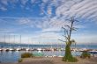 Sailing vessels wait for tourists