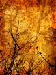Grunge Style Winter background