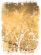 Winter Background