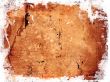 Grunge Background