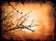 Winter Background