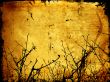 Winter Grunge Background
