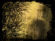Grunge Background