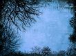 Winter Background