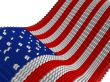 The American flag