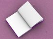 Opened book.