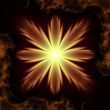 Golden Flores
