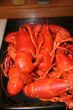 Lobsters fresh from the pot