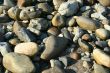 Granite pebbles, rounded by the ocean