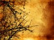 Winter Background