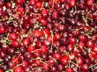 Cherry background