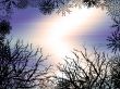 Winter Background