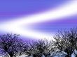 Winter Background
