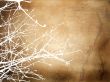 Winter Grunge Background