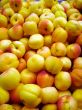 Apple background