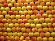 Apple background