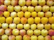 Apple background