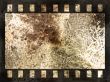 Abstract film strip background