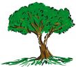 Cartoon Tree