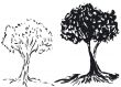 Tree silhouette