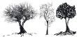Tree silhouette
