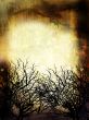 Winter Grunge Background