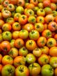 Tomato background