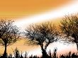 Winter Background