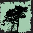 Tree Silhouette