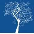 Tree silhouette