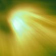 Rays of Light