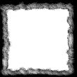 Black and White Border