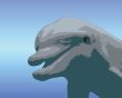 Cartoon Dolphin