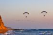 Flight of friends