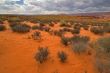 Red desert.