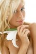 madonna lily #3