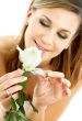 white rose #2