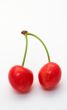 Two cherries on white background