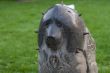 Bizarre dog