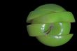 Sliced Apple