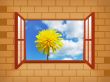 Window with dandelion